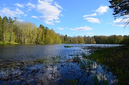 Монастрыское озеро.